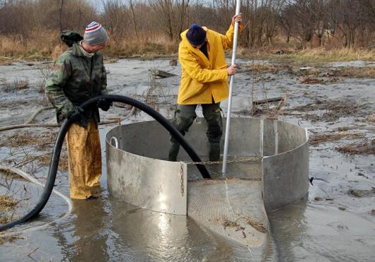 Recovering Amber in Poland